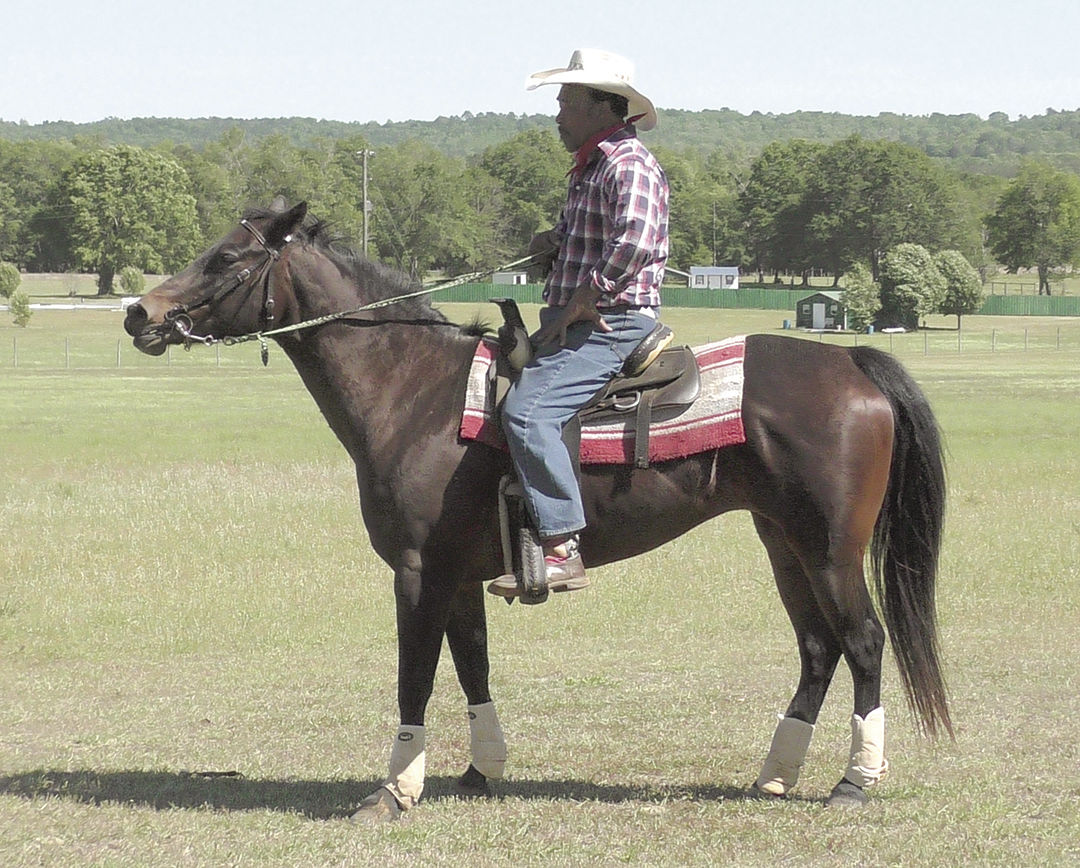 Black Cowboy Festival